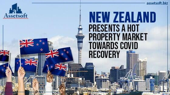 New Zealand Presents a Hot Property Market Towards COVID Recovery